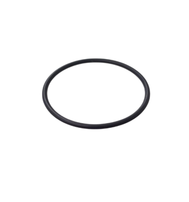 O-ring Professional Ascaso I.575